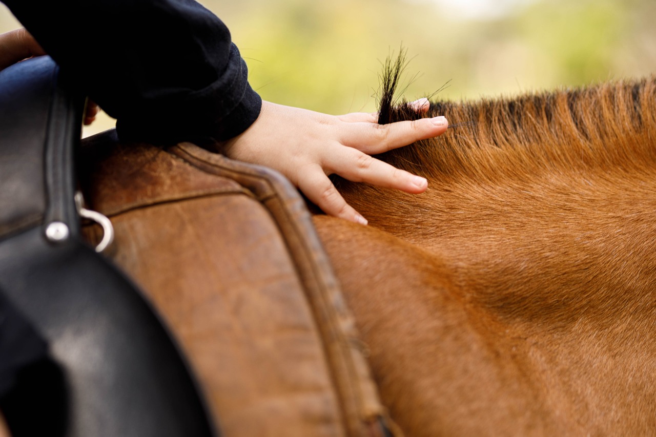 O que é equoterapia? Entenda e se apaixone